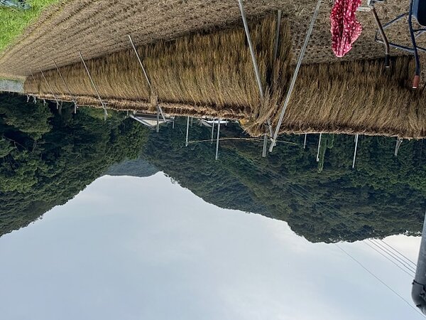 久しぶりの投稿、、ここから一気にいきますの画像