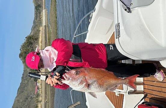 対馬の春？のイメージ