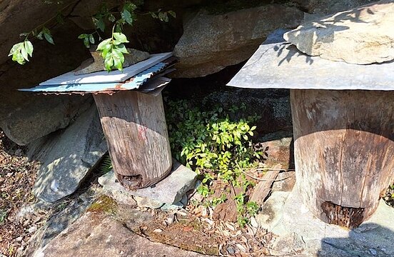 今年もこの季節！！のイメージ