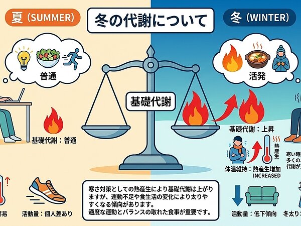 冬の代謝についての画像